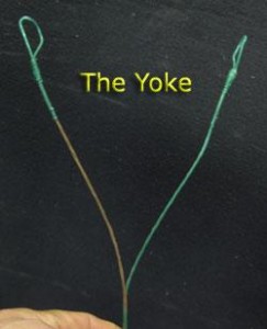 yoke tuning a compound bow