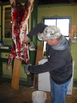 butchering deer