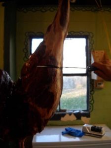 Butchering Deer – How To Butcher A Deer At Home – Shootingtime.com