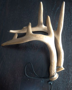 Deer Rattling Techniques For Bucks