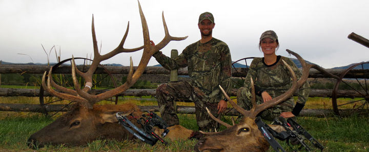 elk hunting