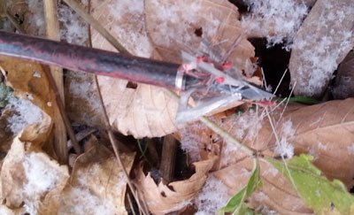 Slick Trick Broadhead Sharpening 