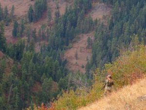 krissy knox elk hunting