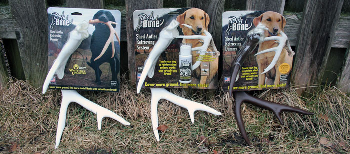 best shed hunting dogs