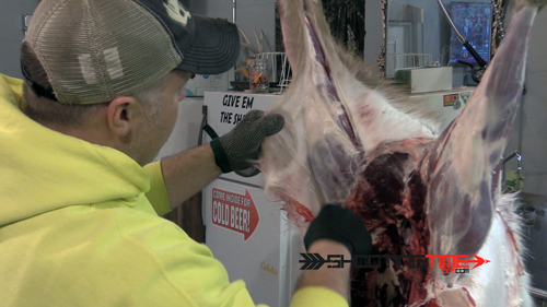 skinning the hind quarter