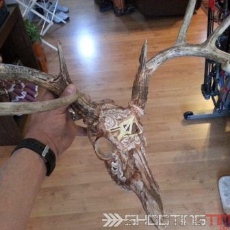 Skull Art and Antler Art Like You've Never Seen Before