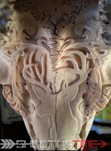 deer skull carving