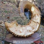 sheep horn carving