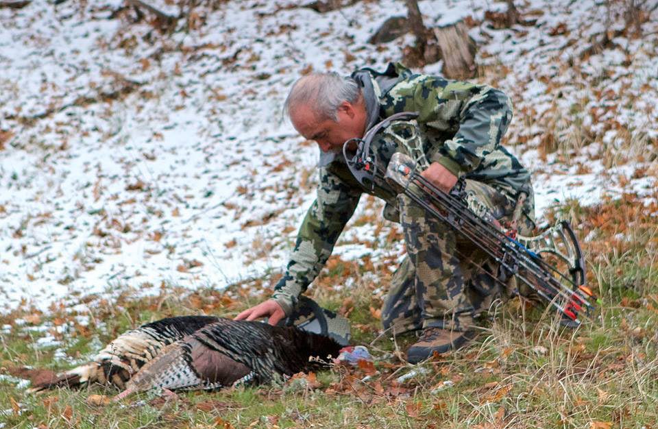colorado turkey hunting