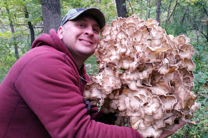 Maitake (Sheepshead, Hen of the Woods) Mushroom Hunting Tips