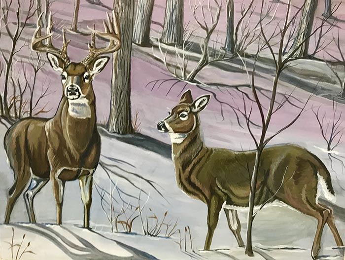 whitetail deer painting