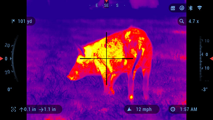 thermal optic hog hunting